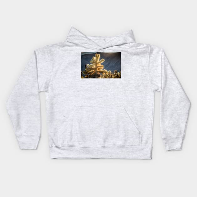 Glowing Cholla Cactus Kids Hoodie by Robert Alsop